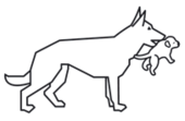Logo Home Dog Training Naef GmbH aus Wabern